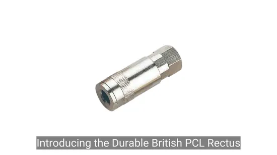 Durable British Pcl Rectus Type Air Quick Coupler for Air Compressors